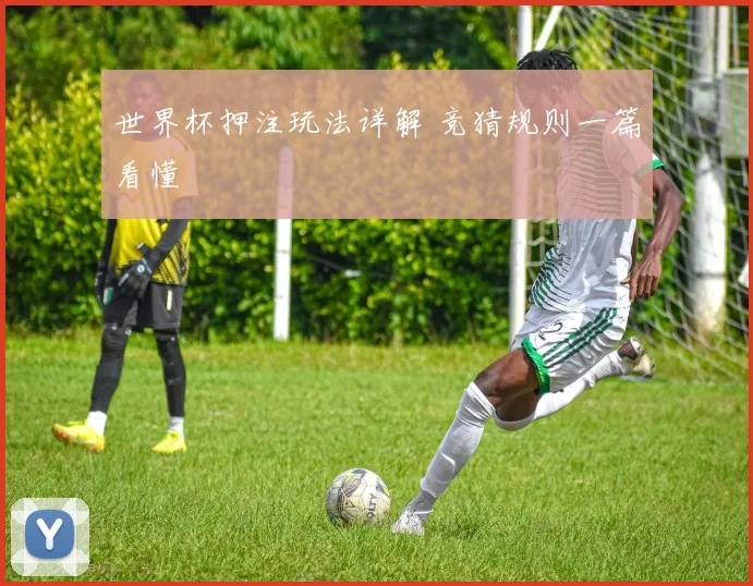 世界杯押注玩法详解 竞猜规则一篇看懂